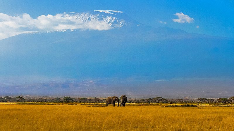 Asfalturile de pe Kilimanjaro şi alte prost-vestiri
